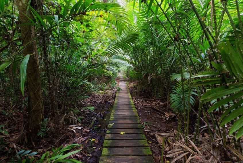 Morne Coubaril Historical Adventure Park, Soufrière, Saint Lucia